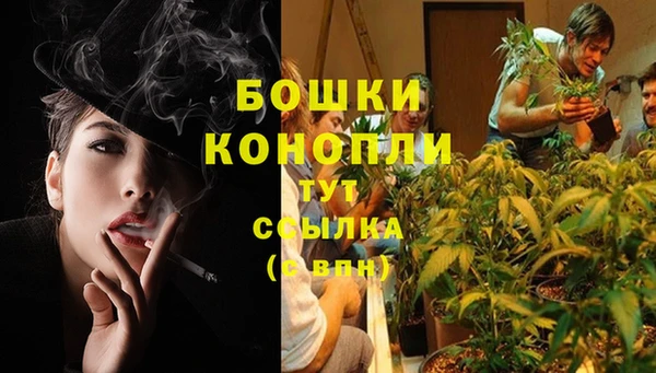 дурь Балахна
